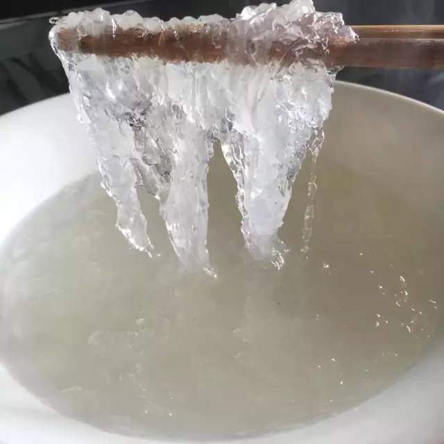 asdfv.jpg